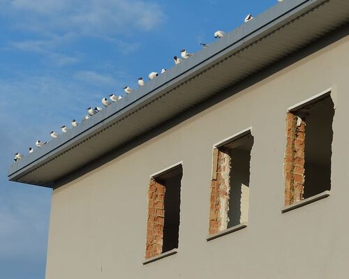 building-demolition-dilapidated-decay